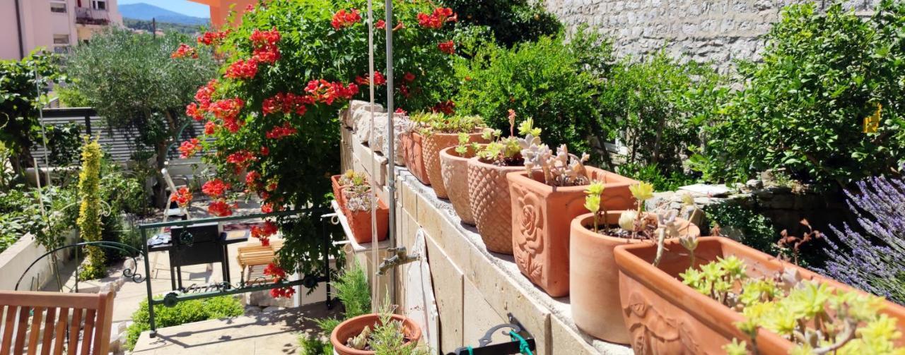 Apartment Alena With Terrace And Garden Center Jelsa イェルサ エクステリア 写真