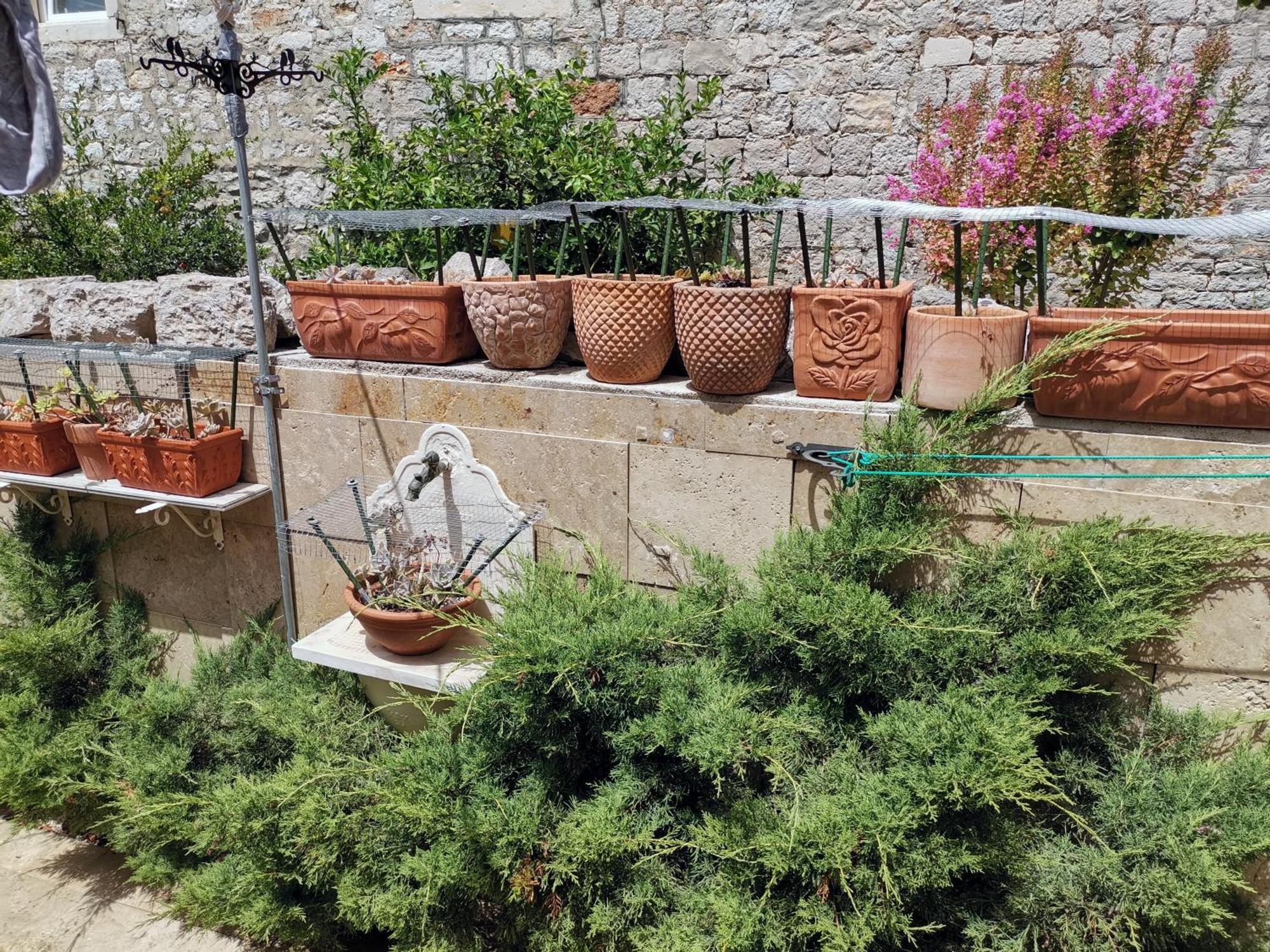 Apartment Alena With Terrace And Garden Center Jelsa イェルサ エクステリア 写真
